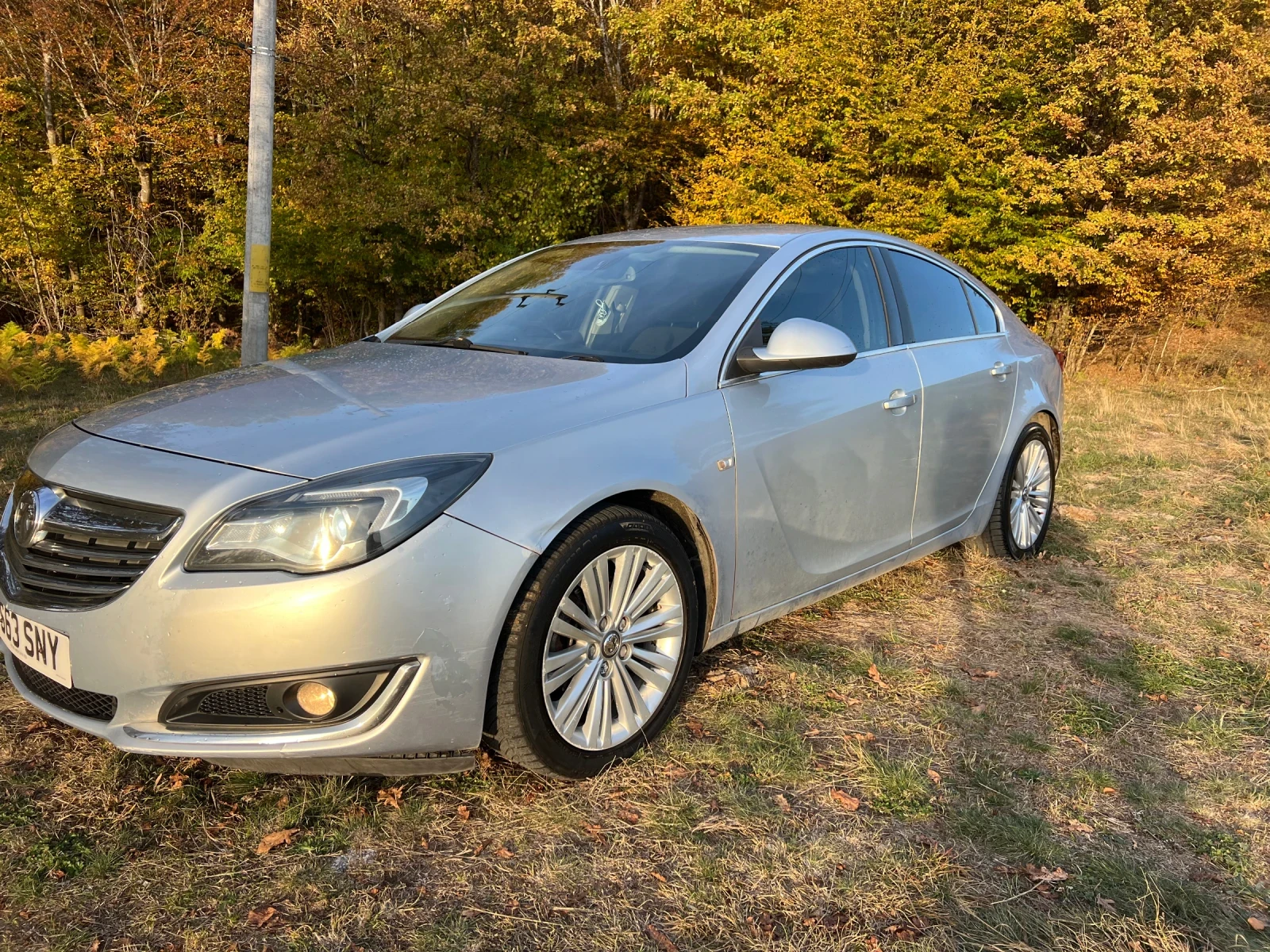 Opel Insignia 2.0 160 кс, снимка 2 - Автомобили и джипове - 56584441