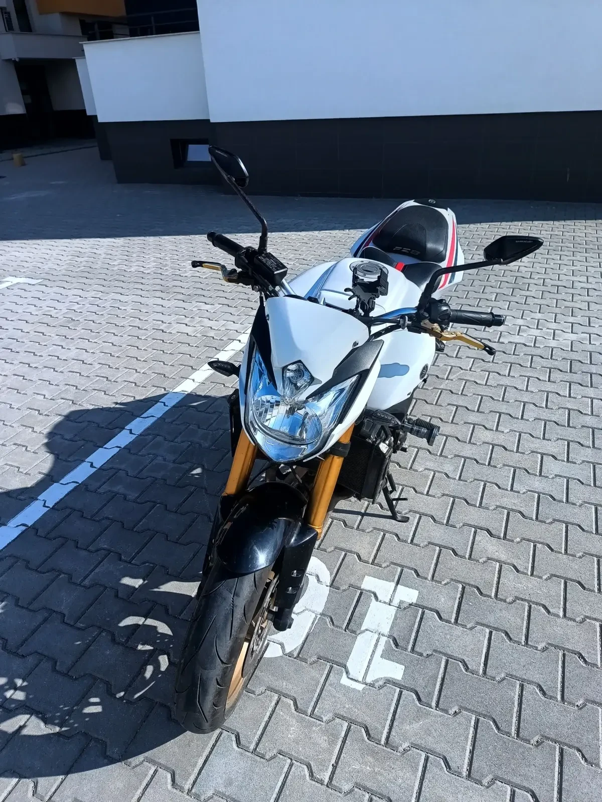 Yamaha FZ8  50th Anniversary  Edition - изображение 2