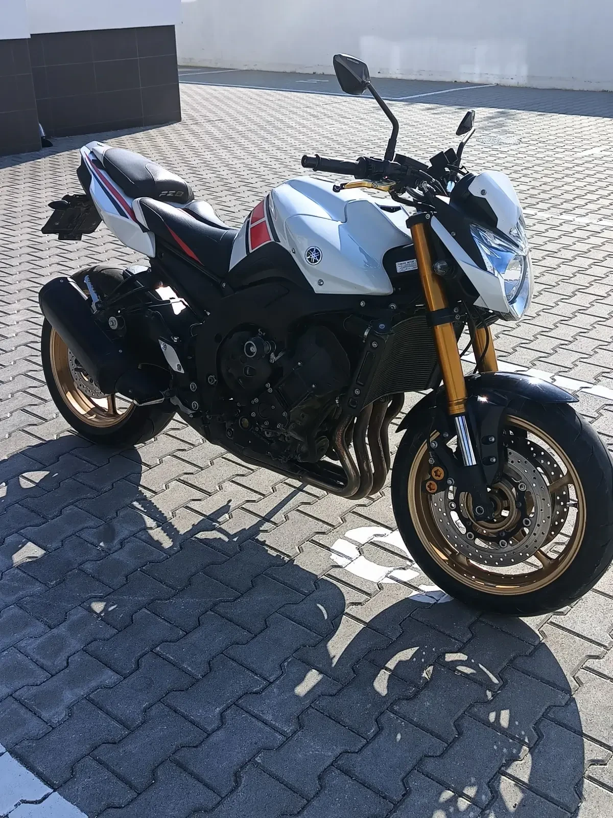 Yamaha FZ8  50th Anniversary  Edition - изображение 3