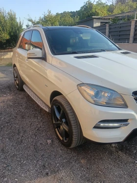 Mercedes-Benz ML 250 | Mobile.bg � ����� ������ 2