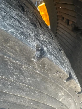 Man Tgx 18.480 | Mobile.bg    7