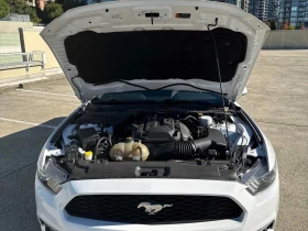 Ford Mustang * EcoBoost * CARFAX *    | Mobile.bg    14