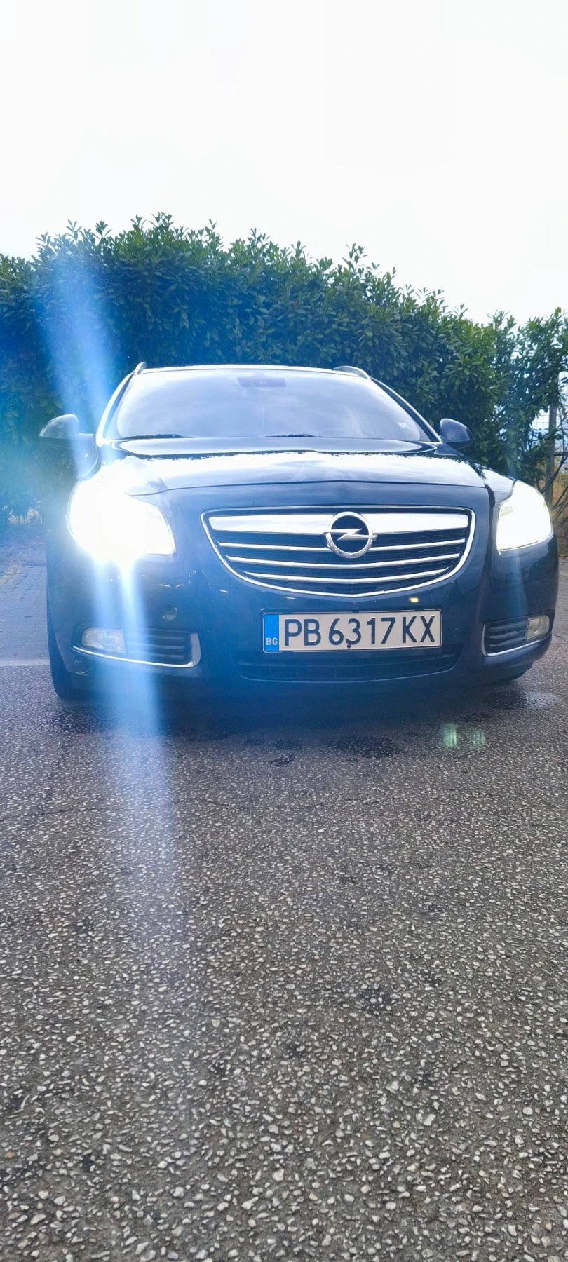 Opel Insignia, снимка 16 - Автомобили и джипове - 56132396