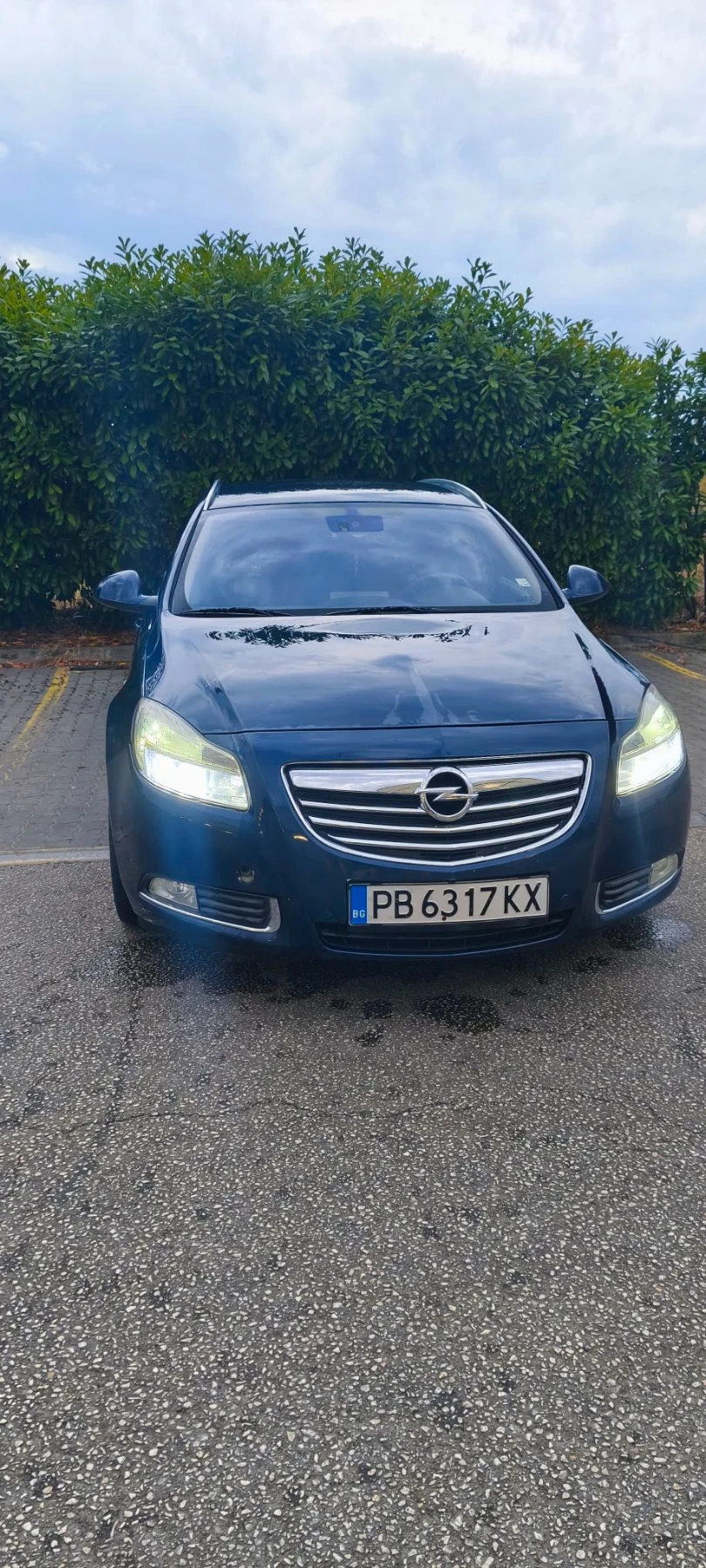 Opel Insignia, снимка 17 - Автомобили и джипове - 56132396