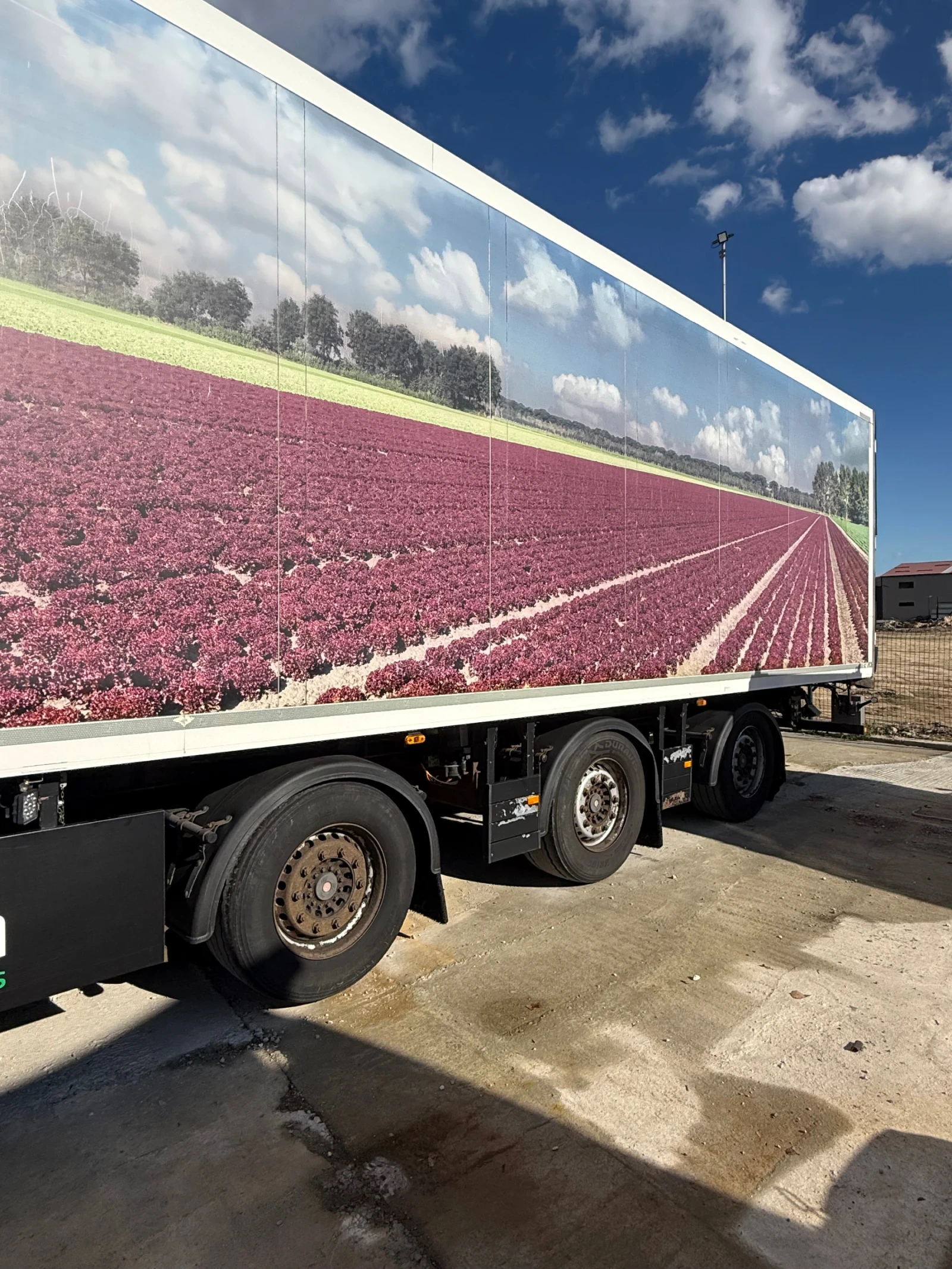  Schmitz  | Mobile.bg   5