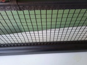 VW Passat, снимка 2