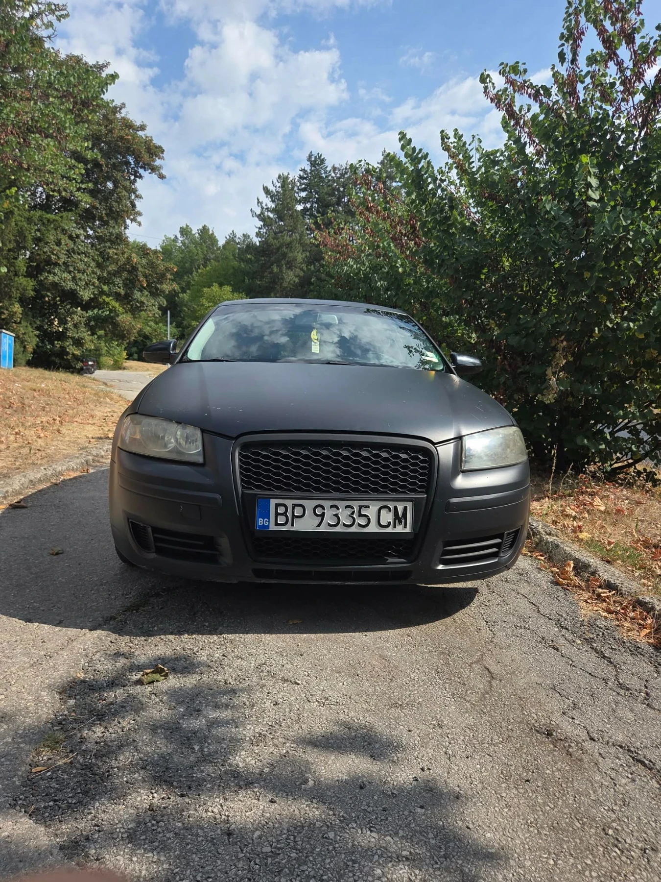 Audi A3 1.6 бензин-газ 
