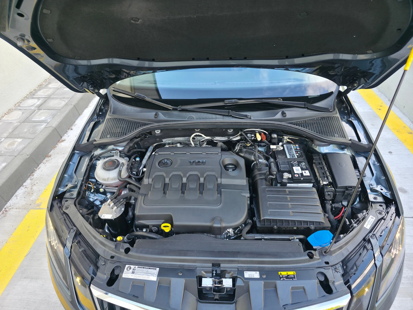 Skoda Octavia 2.0TDI 4x4 184ps DSG | Mobile.bg — изображение 17