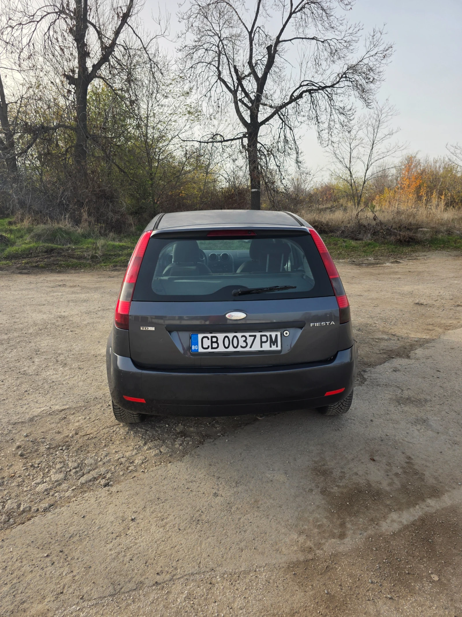 Ford Fiesta 1.4  | Mobile.bg   12
