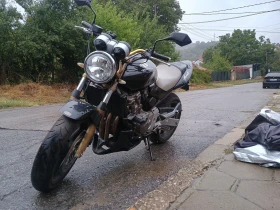  Honda Hornet