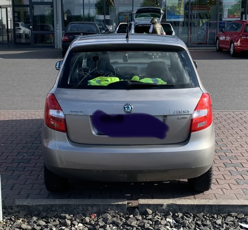 Skoda Fabia 1.6 TDI , снимка 3 - Автомобили и джипове - 48751039