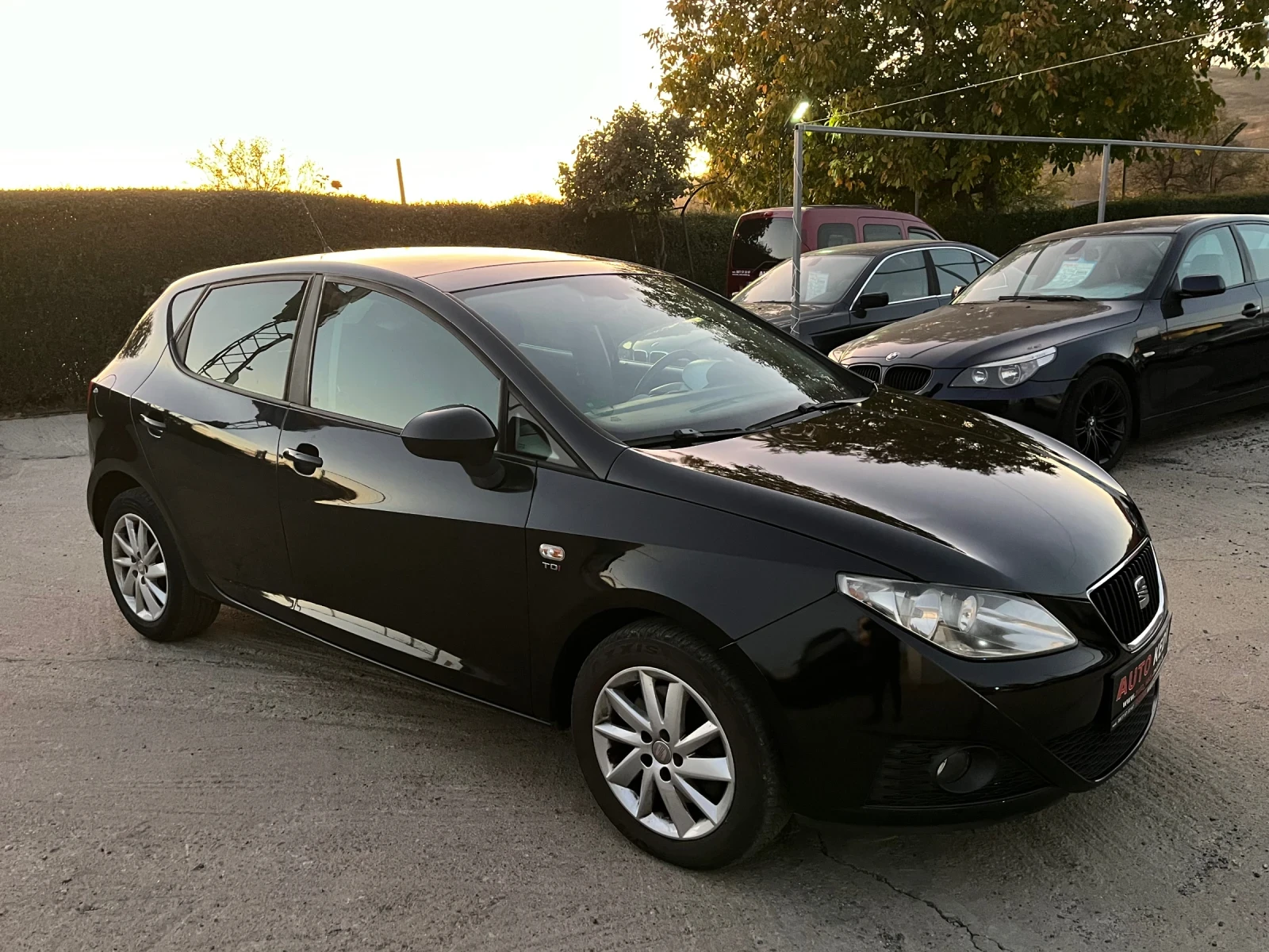 Seat Ibiza 1.9TDI - изображение 3