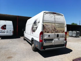 Fiat Ducato 250 DCM FC CXL -  | Mobile.bg    4