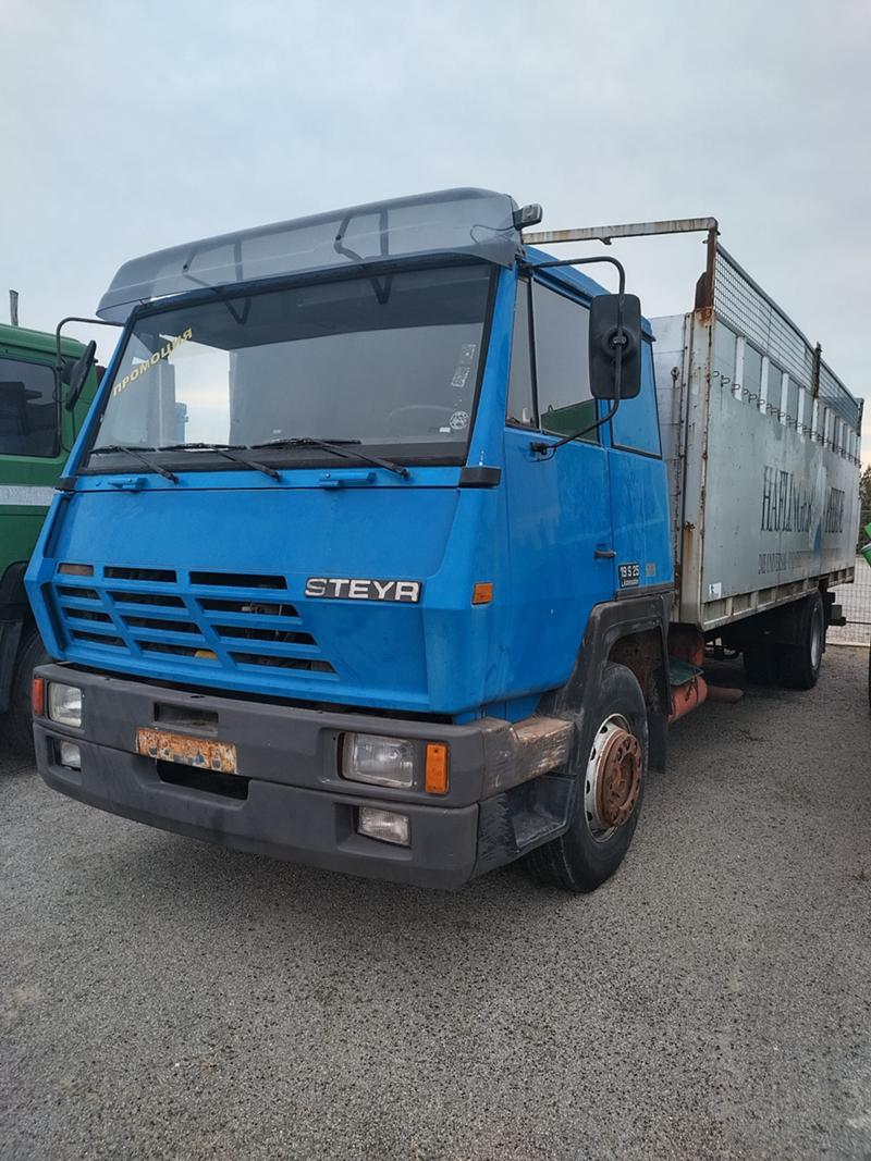 Steyr 19, снимка 2 - Камиони - 45314306