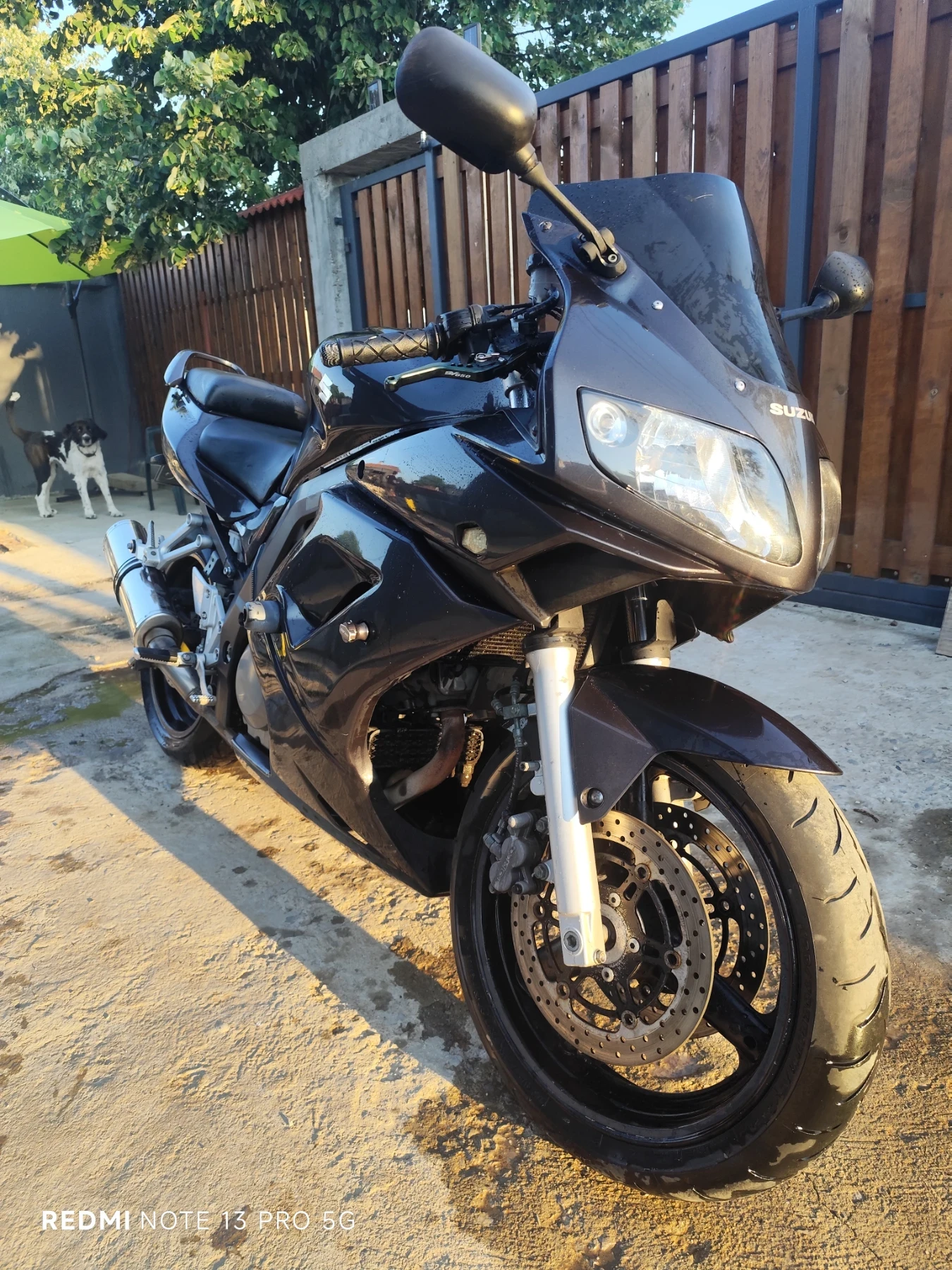 Suzuki SV  - изображение 4