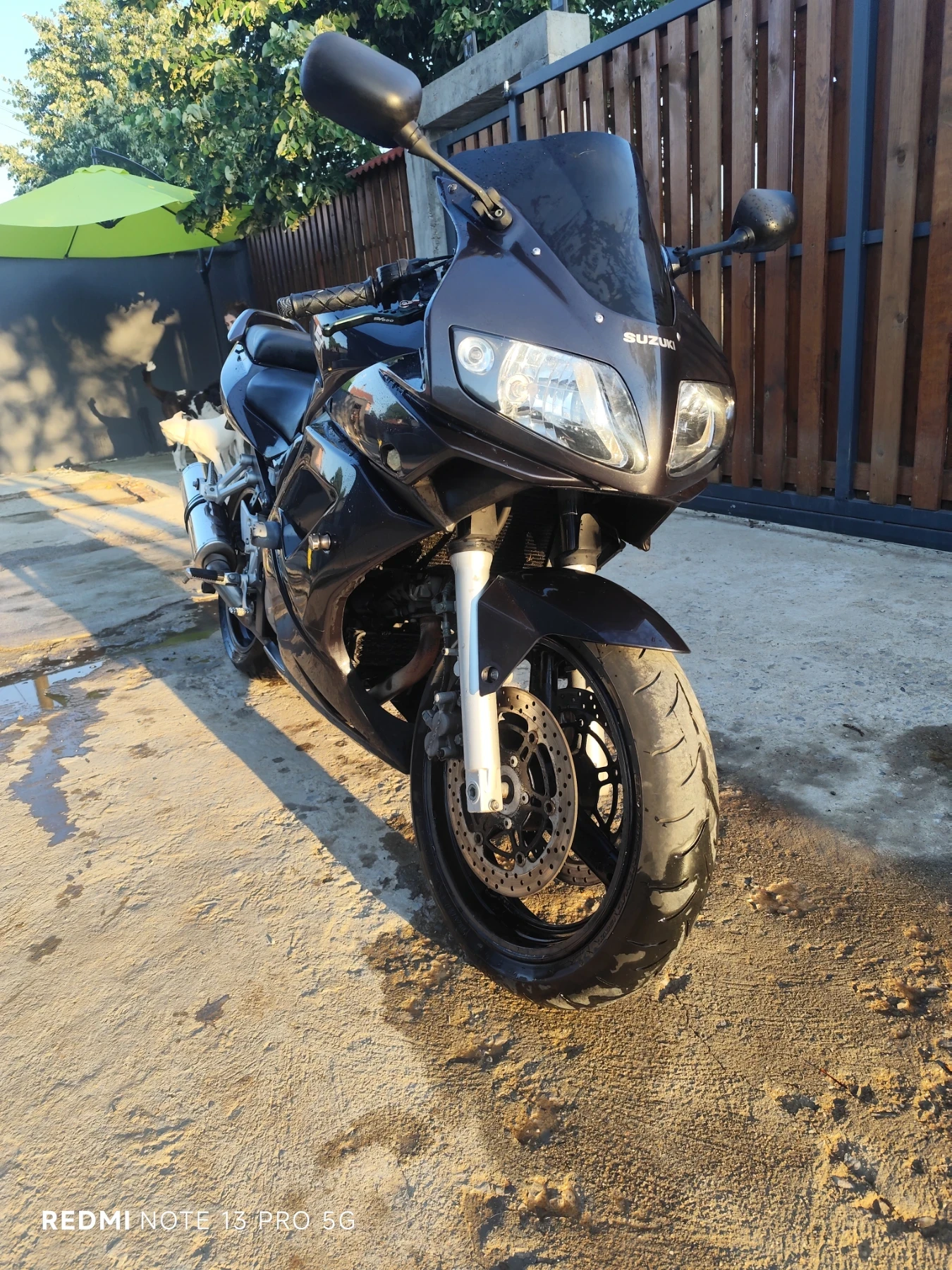 Suzuki SV  - изображение 3