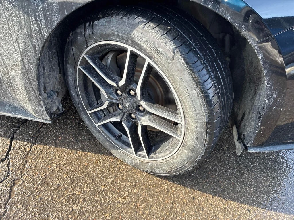 Ford Mustang * GT * CARFAX * ��� ������������ ������ | Mobile.bg � ����������� 7