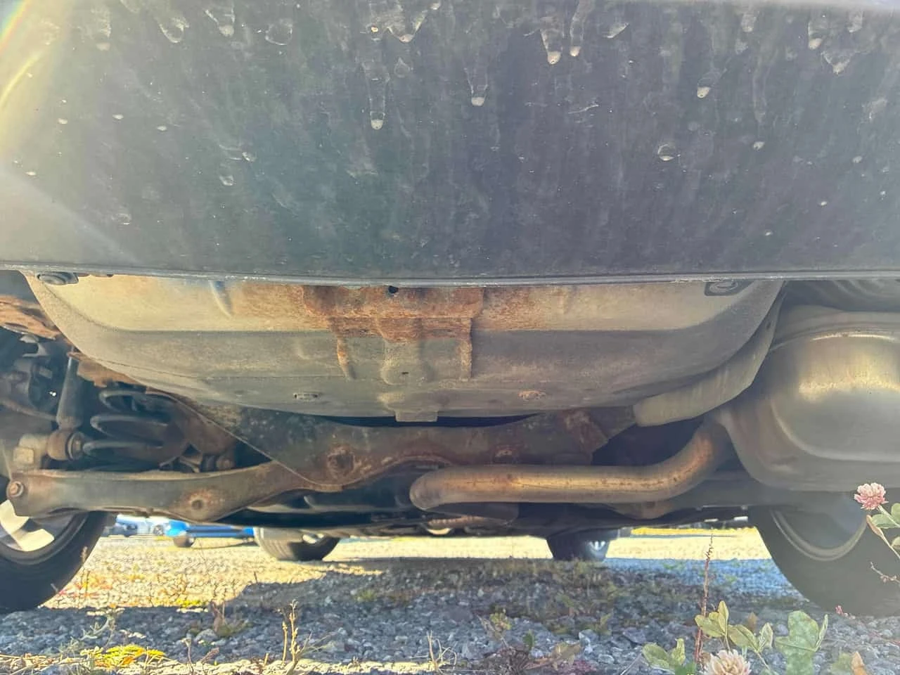 Honda Civic * EX * CARFAX * ����� �� ����������� *  | Mobile.bg � ����������� 11