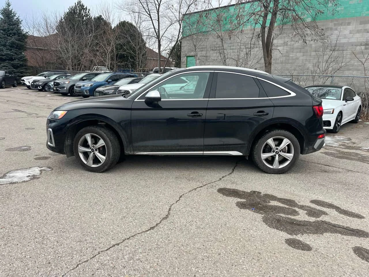 Audi SQ5 * Progressiv * CARFAX * ���������* ��������*  | Mobile.bg � ����������� 2