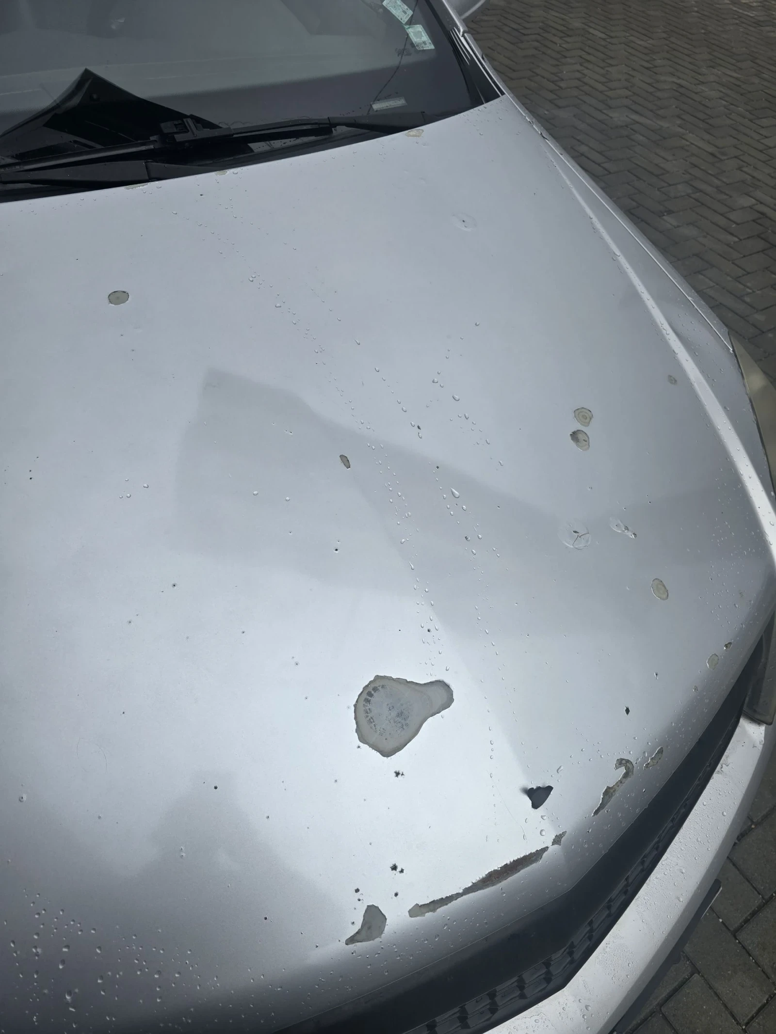 Opel Astra | Mobile.bg � ����������� 8