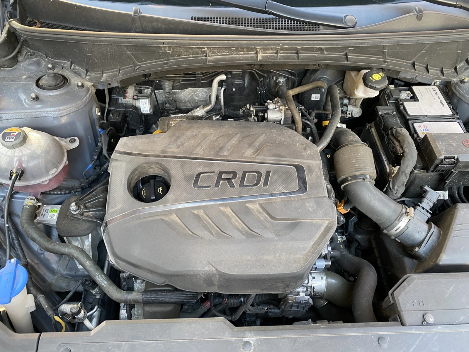 Hyundai Tucson 1.6 CRDI / MHEV / DCT7 / Business, снимка 16 - Автомобили и джипове - 54128930