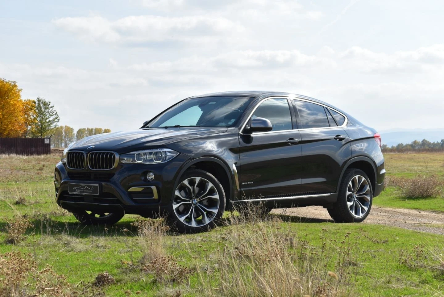 BMW X6 4.0D xDrive, снимка 2 - Автомобили и джипове - 54361198