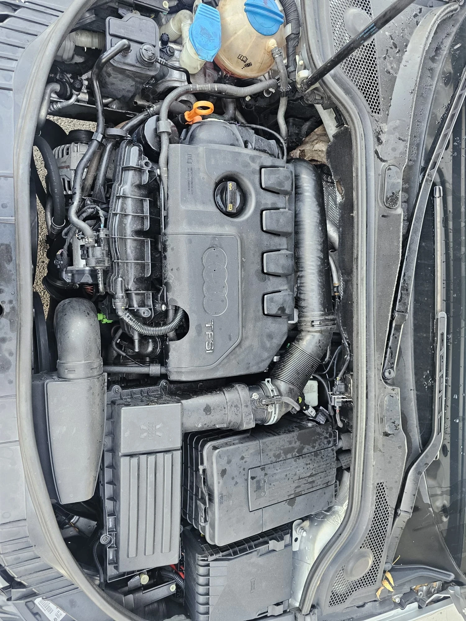 Audi A3 2.0 benz 4x4 dsg | Mobile.bg   11