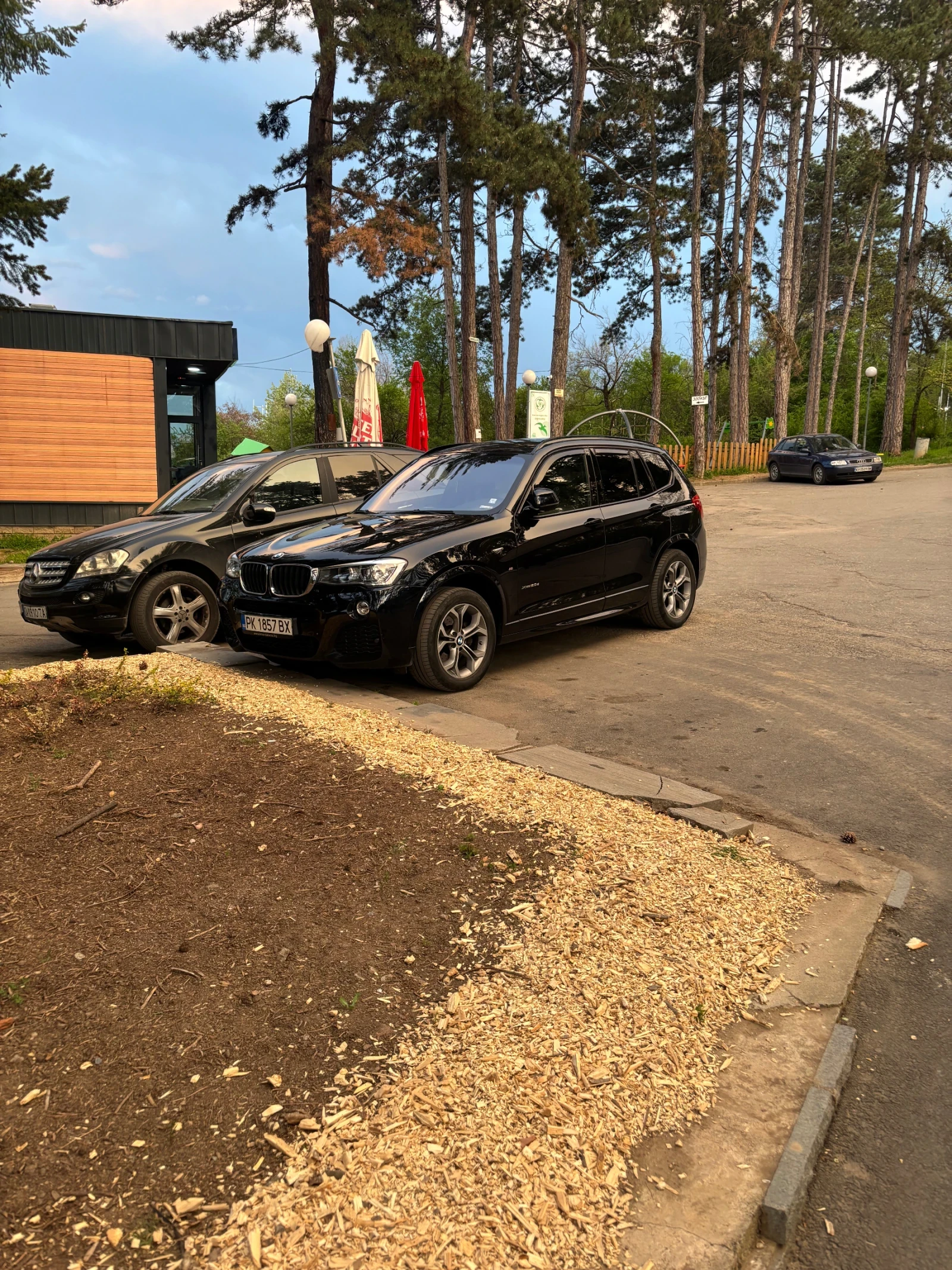 BMW X3 F25, снимка 1