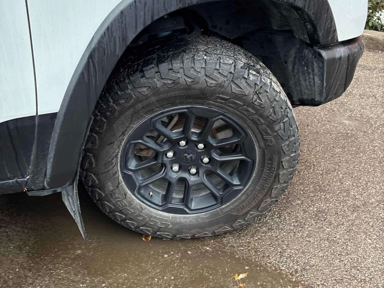 Dodge RAM 1500 * Rebel * CARFAX * ��� ������������ ������ | Mobile.bg � ����������� 7