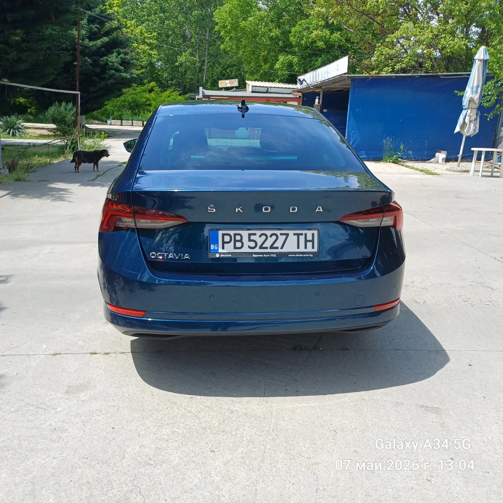 Skoda Octavia Edition, снимка 4 - Автомобили и джипове - 54457884