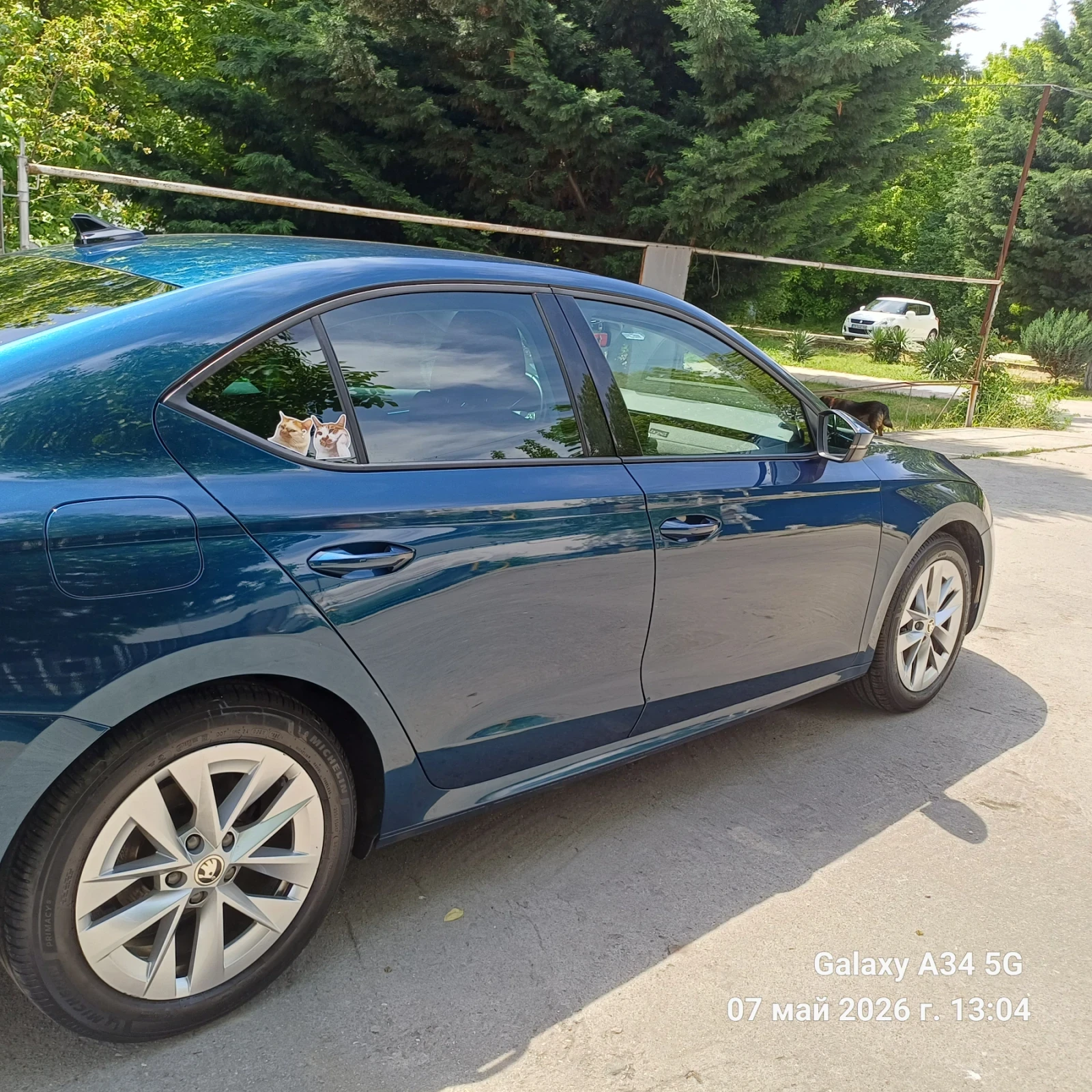 Skoda Octavia Edition, снимка 3 - Автомобили и джипове - 54457884