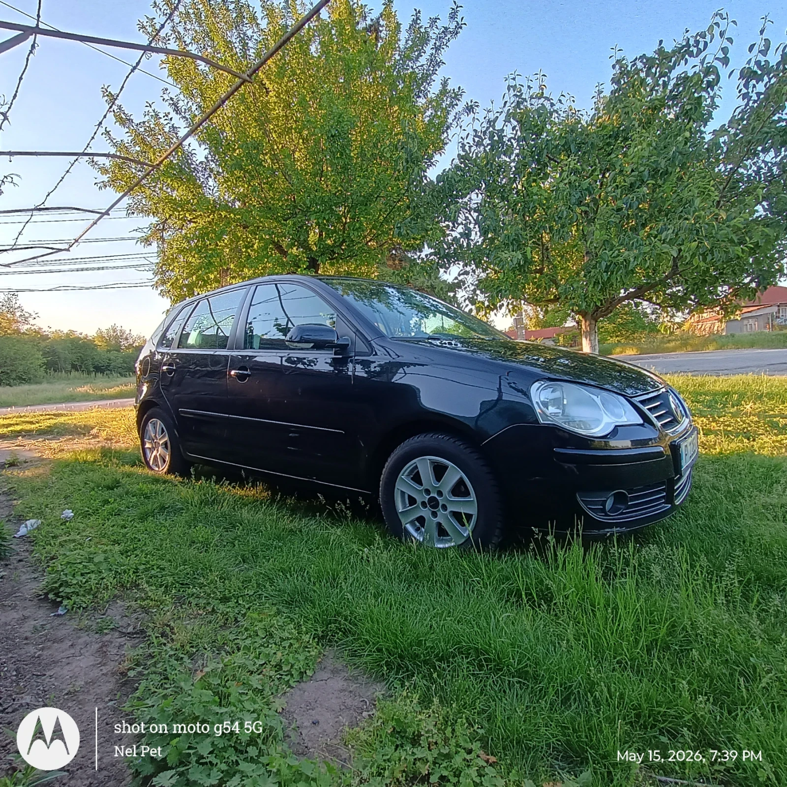 VW Polo