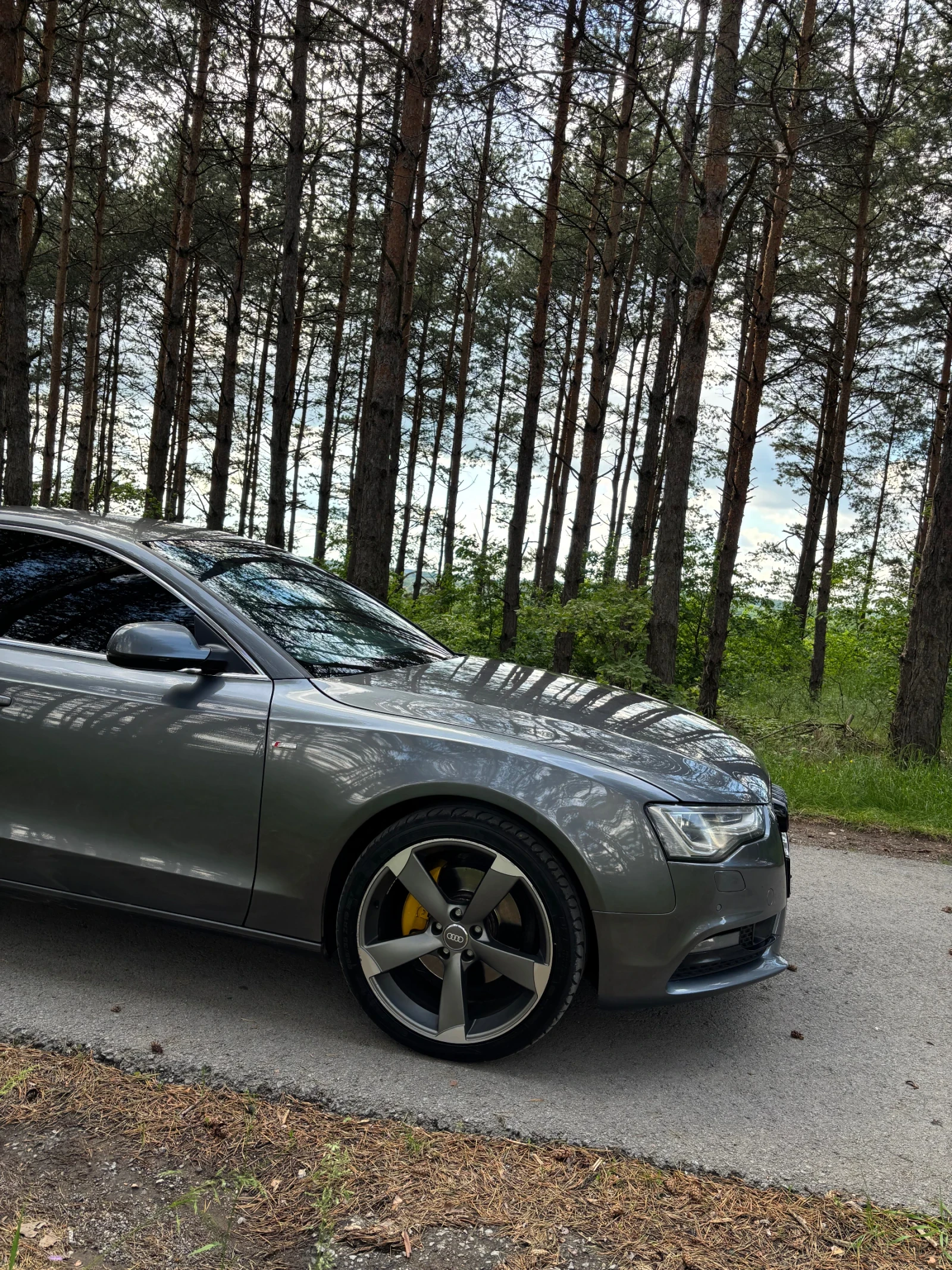 Audi A5, снимка 4 - Автомобили и джипове - 54681006