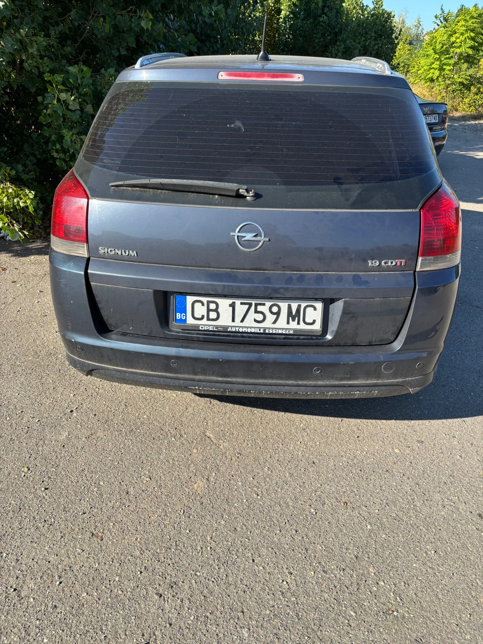 Opel Signum, снимка 6 - Автомобили и джипове - 55525951