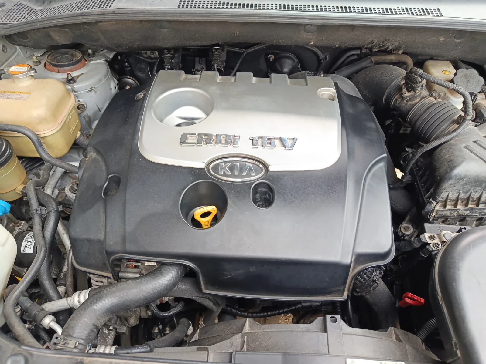 Kia Sportage, снимка 12 - Автомобили и джипове - 56231485