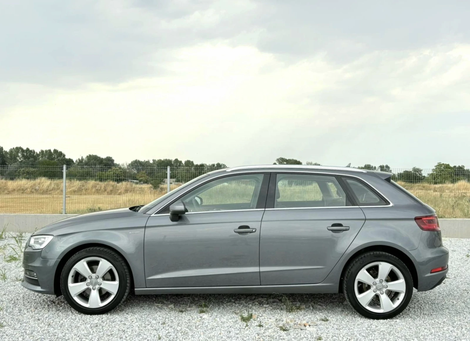 Audi A3 G-Tron Евро6 - изображение 8