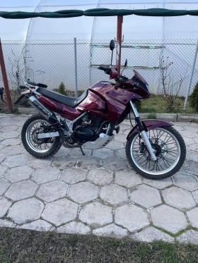     Kawasaki Kle