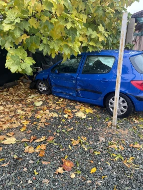 Peugeot 307, снимка 4