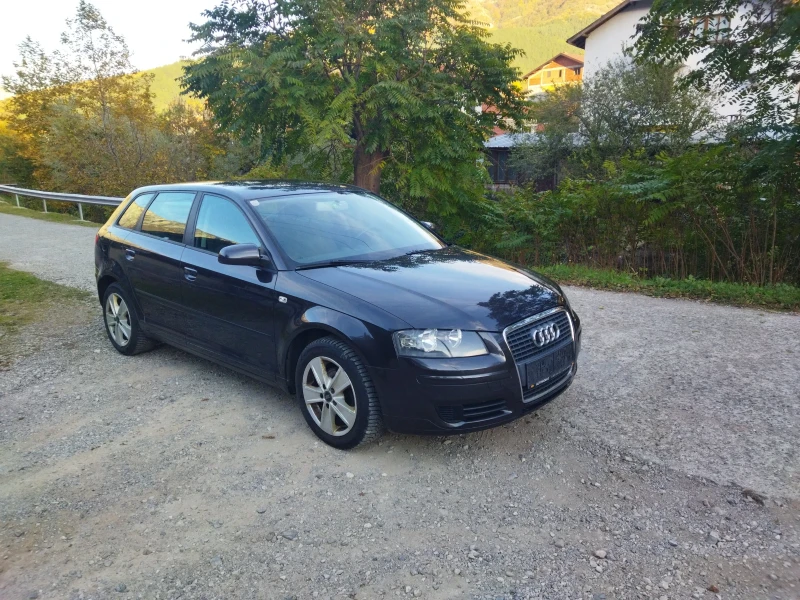 Audi A3 1.9 TDI 105k, снимка 6 - Автомобили и джипове - 47737371