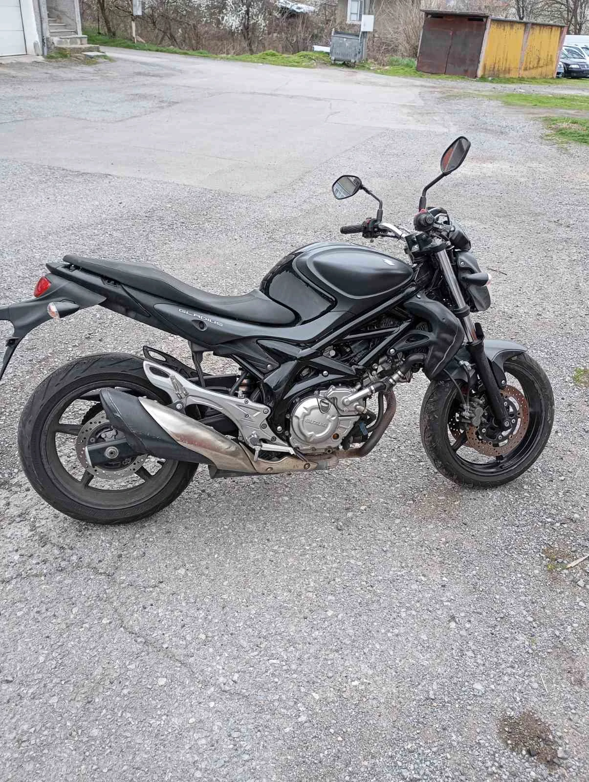Suzuki Gladius 650 - изображение 2