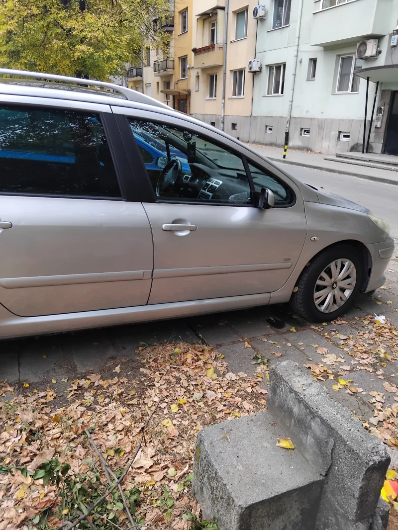 Peugeot 307, снимка 3 - Автомобили и джипове - 48451894