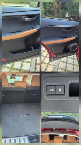 Lexus NX 300 2.0 Turbo. Matador Red, снимка 15