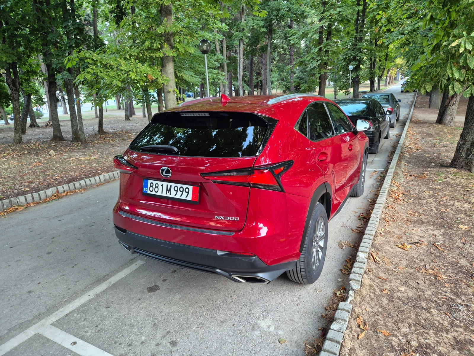 Lexus NX 300 2.0 Turbo. Matador Red