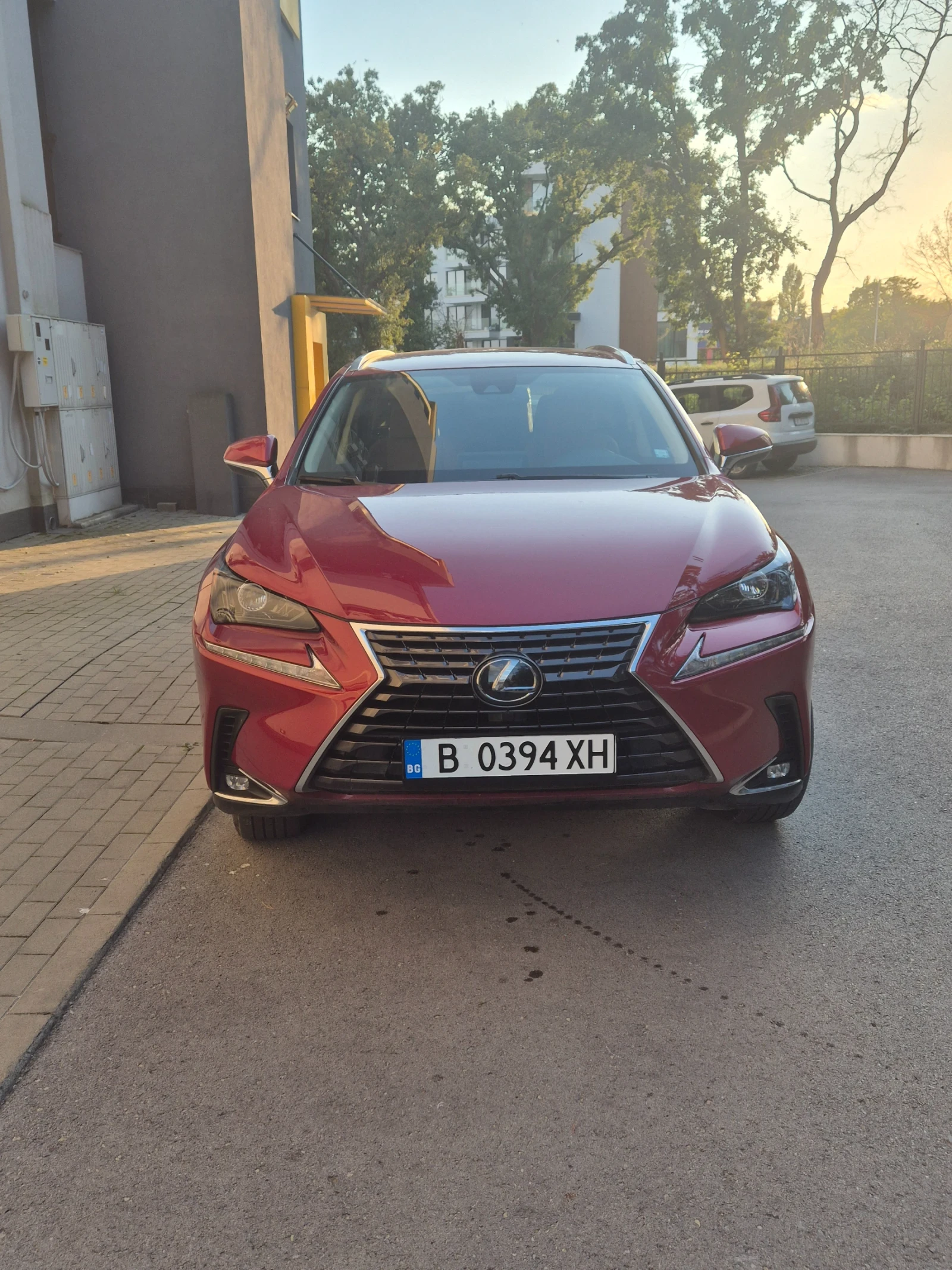 Lexus NX 300 2.0 Turbo. Подходяща за газ