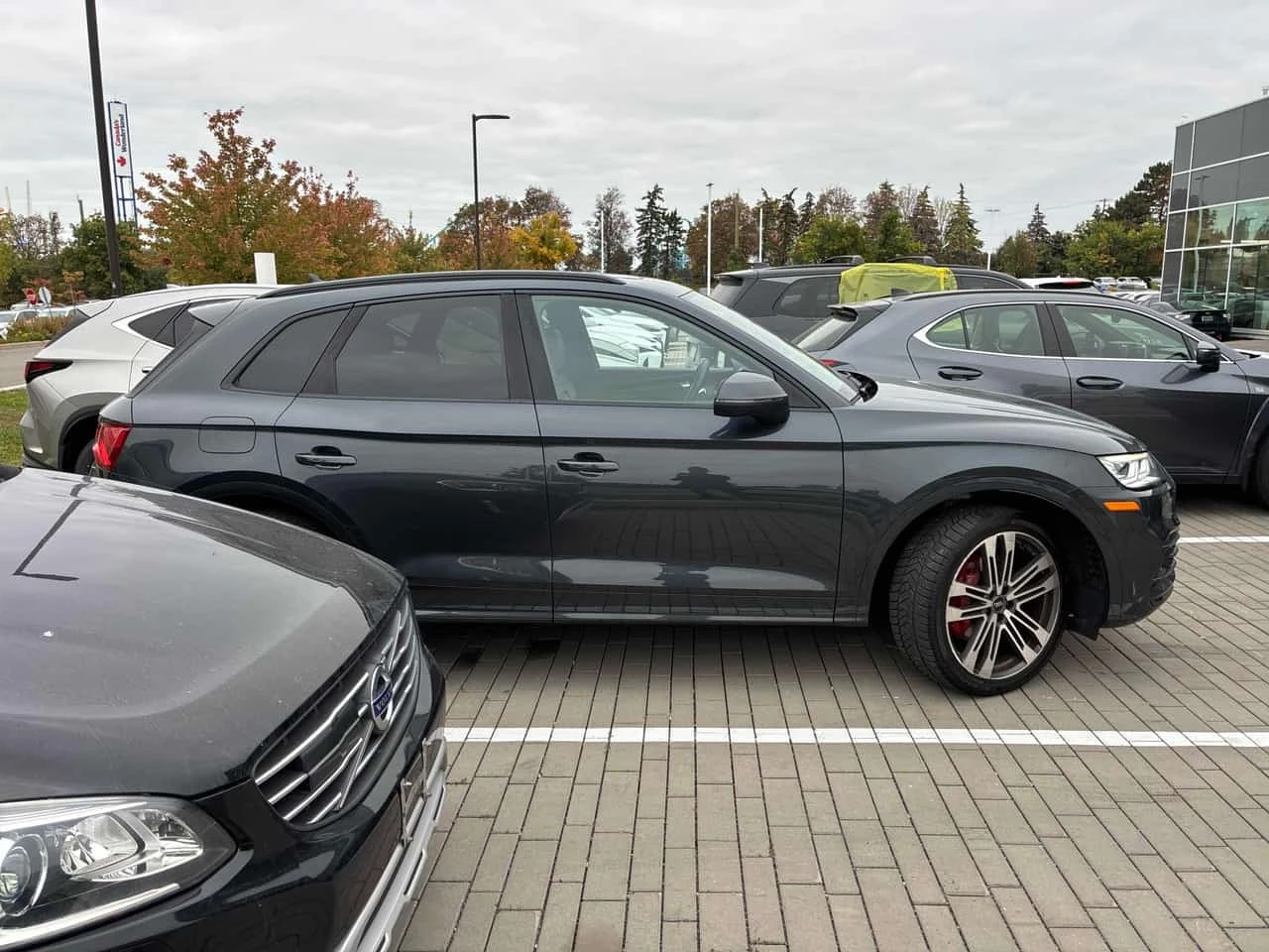 Audi SQ5 * Technik * ���������� * ������ ���������������� | Mobile.bg � ����������� 4