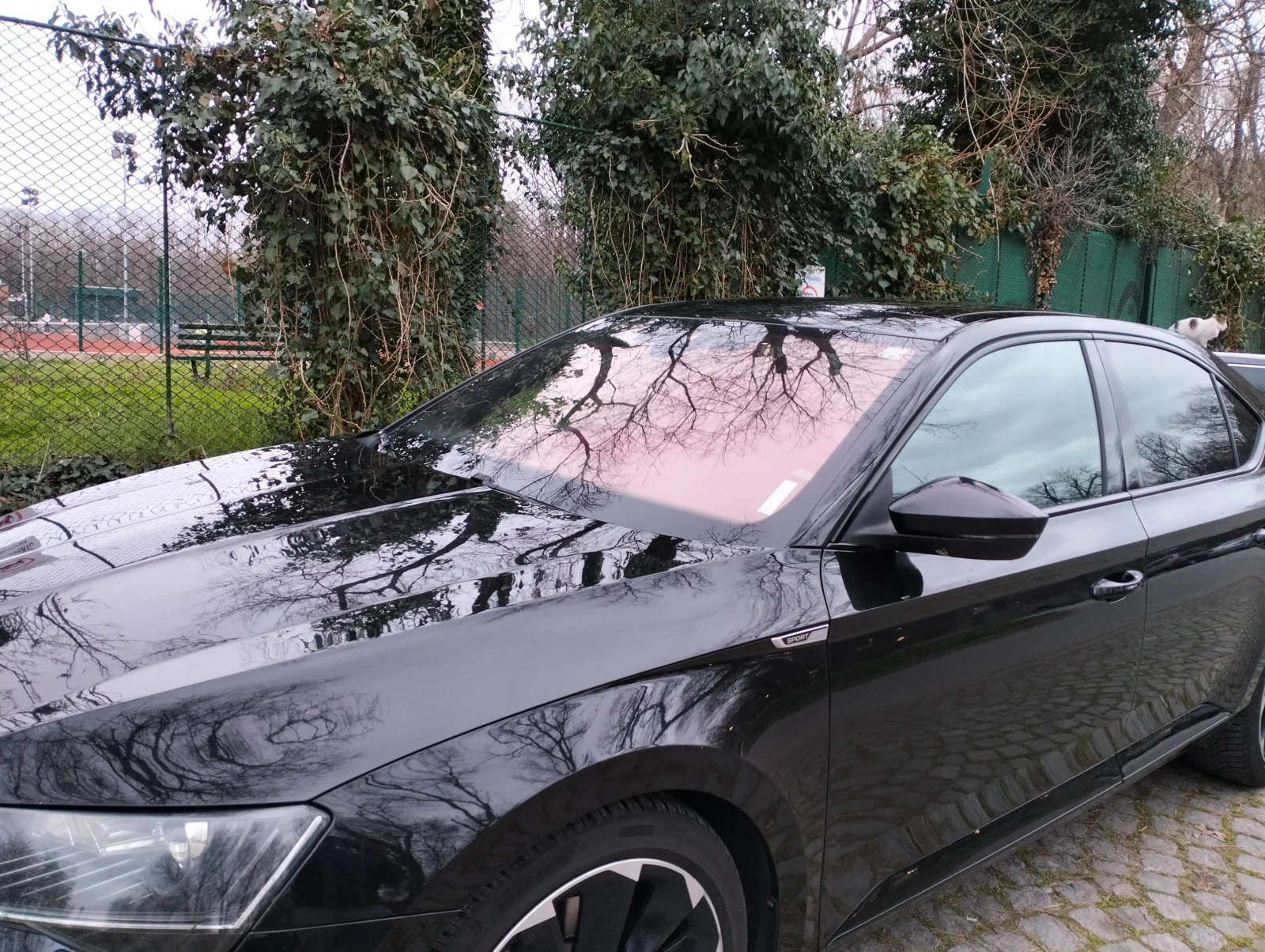 Skoda Superb SPORTLINE, снимка 2 - Автомобили и джипове - 53756025