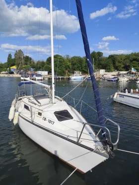       Hunter Hunter 22