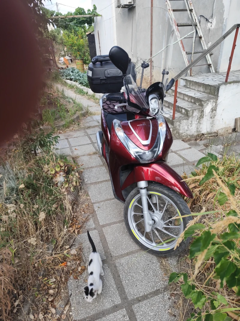 Honda 125 Sh mode, снимка 3 - Мотоциклети и мототехника - 52310004