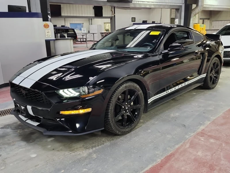 Ford Mustang  ECOBOOST | CARFAX