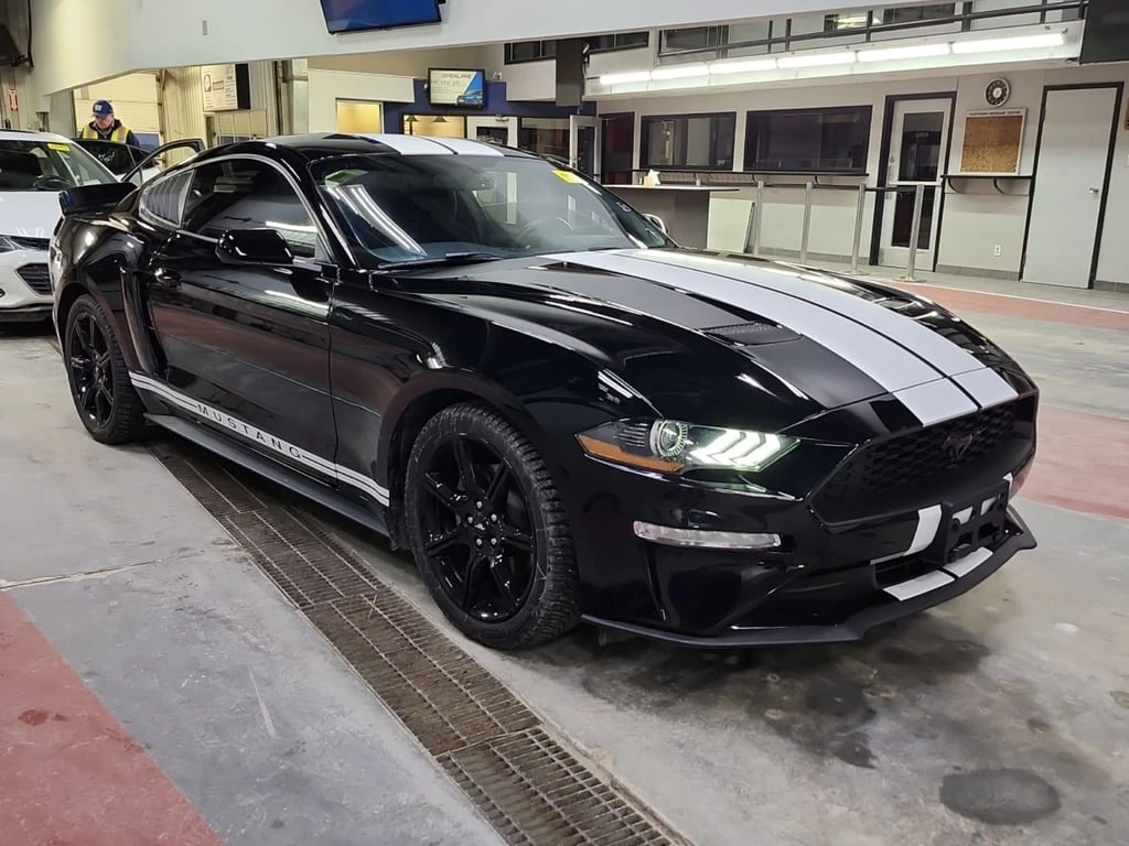 Ford Mustang  ECOBOOST | CARFAX - изображение 2